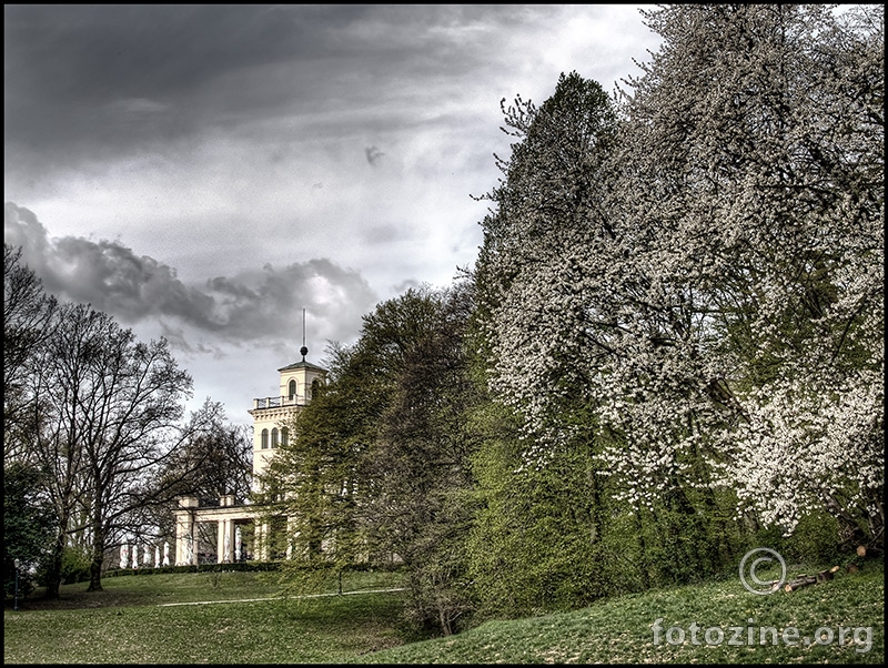 Maksimir