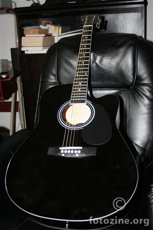 Moja gitara