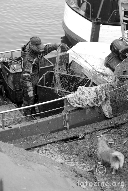 rostock fisherman+dog