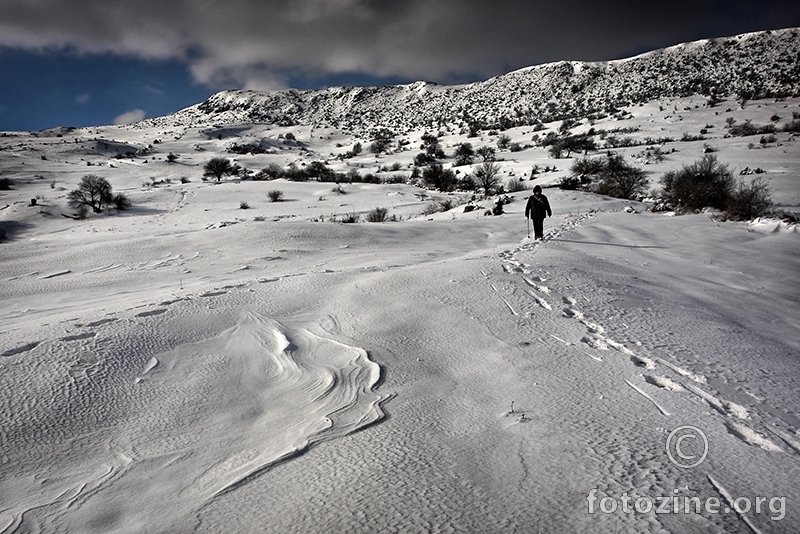 Planina