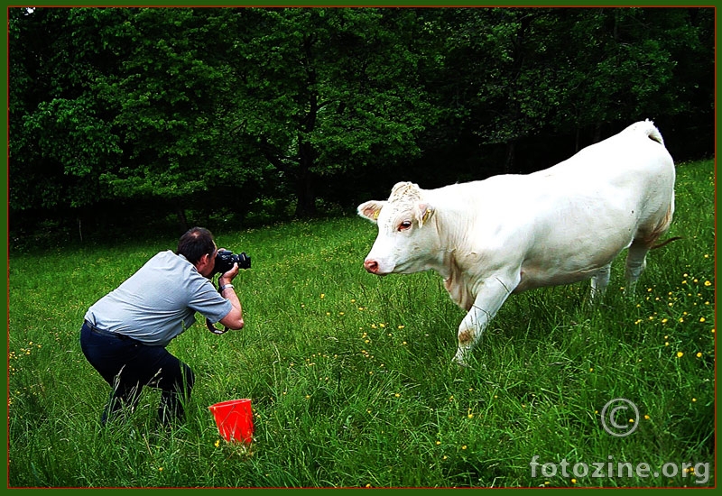 fotosession