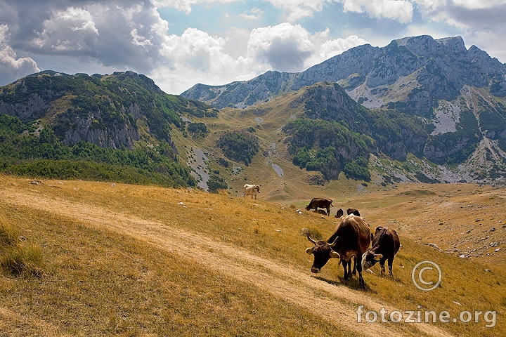 Durmitor....