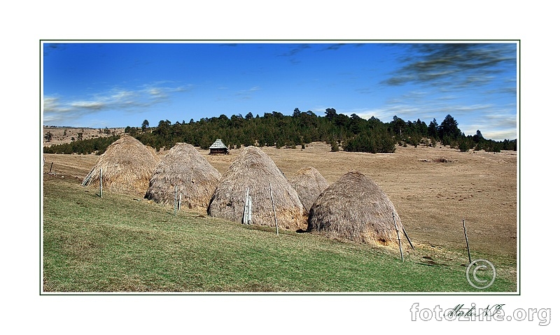 Zlatibor - 5