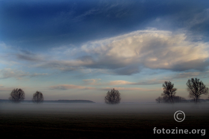 Polje jutrom