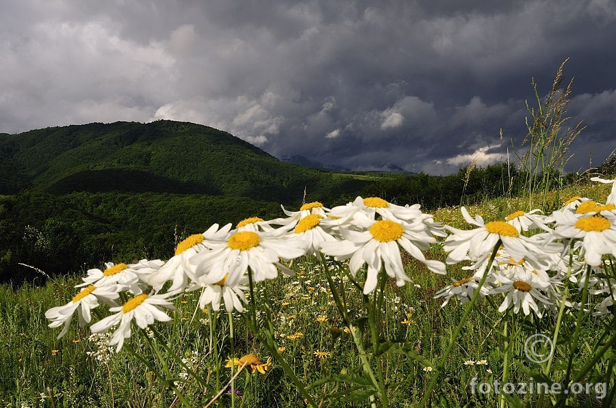 Glavice (745m),Žumberak