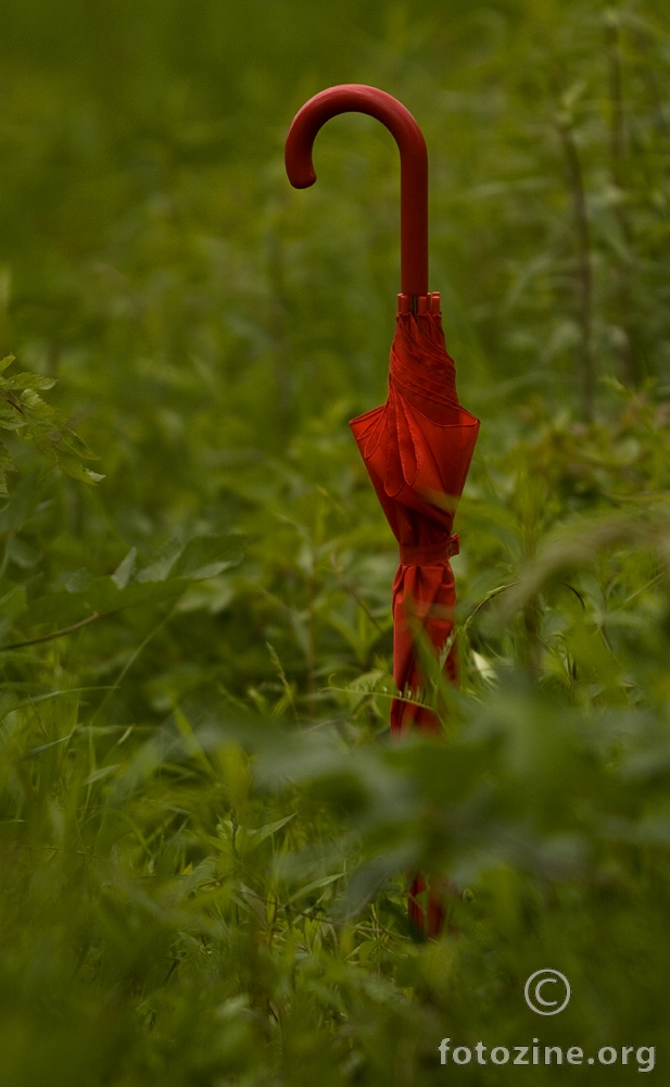 red umbrella