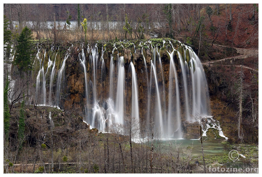 Veliki prštavac