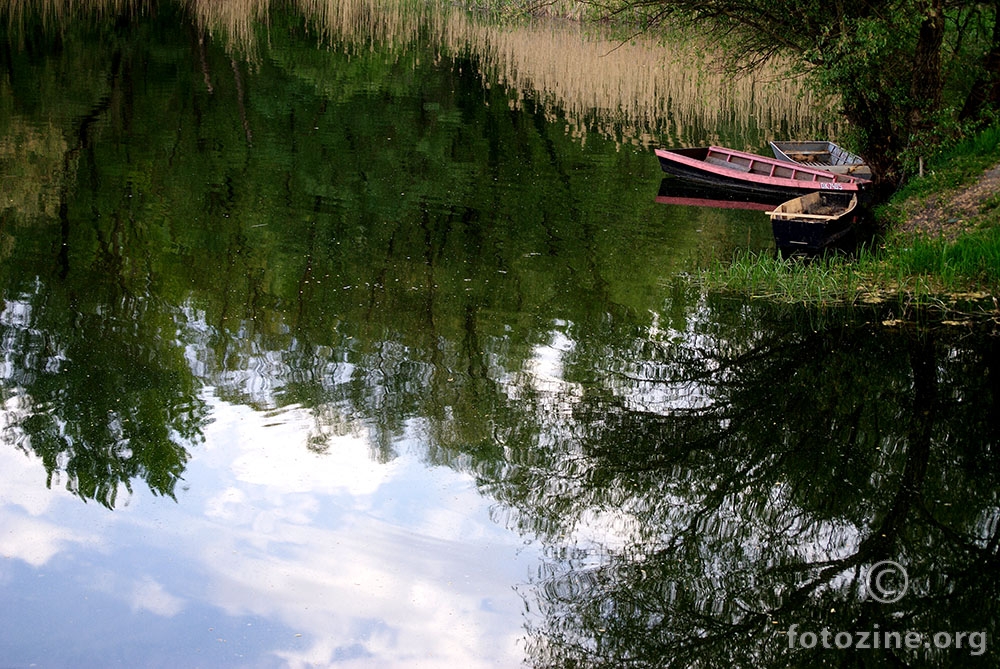 stara drava