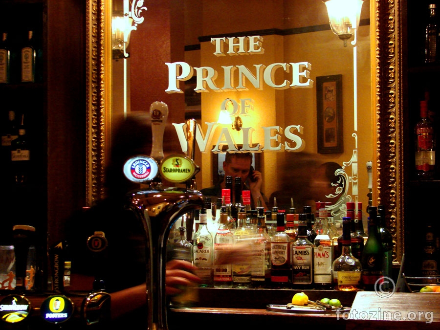 the prince of wales