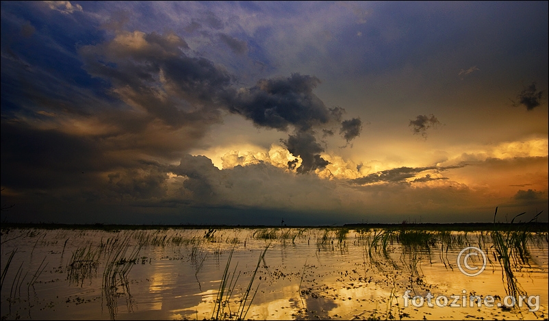 Birth of the storm...