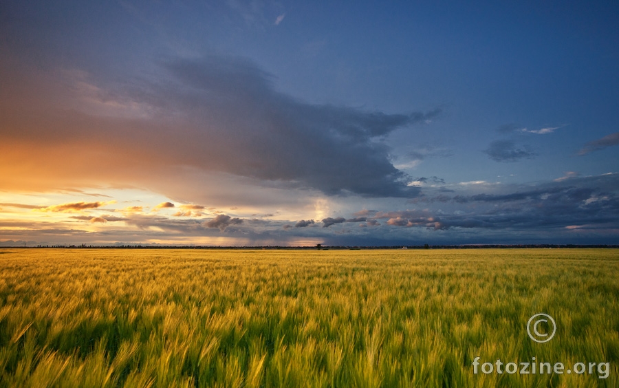 Through the fields