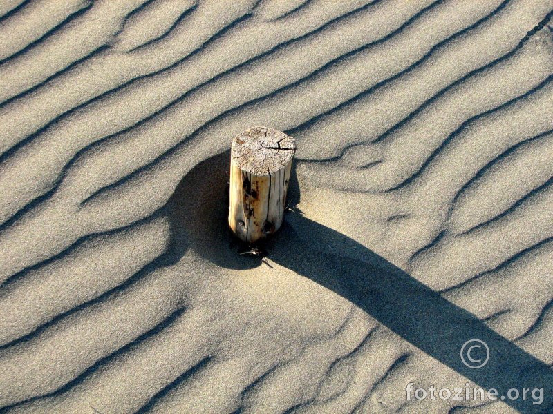 In the beach