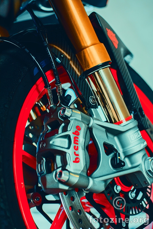 Aprilia Tuono 1100 (details)