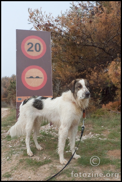 sretan uskrs na kamenjaku...