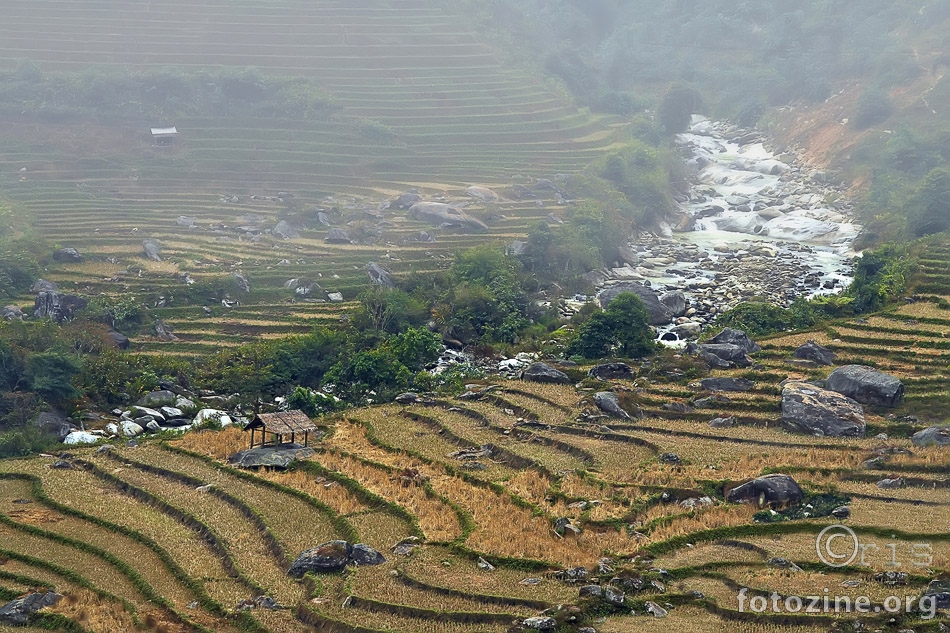 Sapa fog