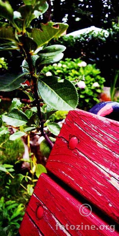 My red bench