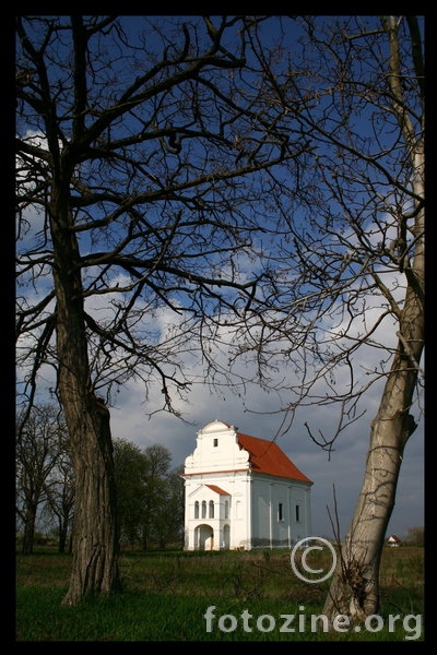 TOPOLJE