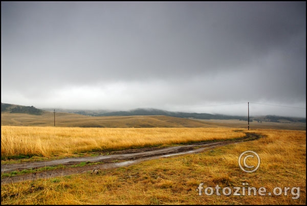 zlatibor