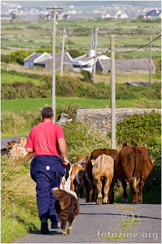 Traffic jam in Ireland