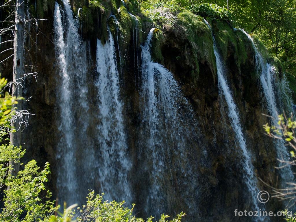 Veliki šištavac