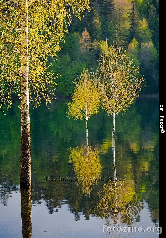 Jedna za laku noć..