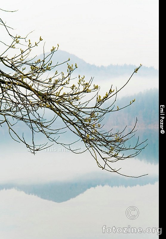 Jezero Lokve