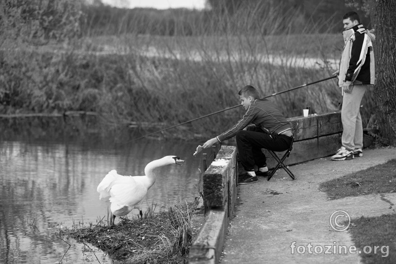 07.04.2012. Ribičke priče