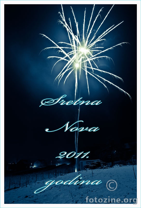 Sretna Nova 2011. godina