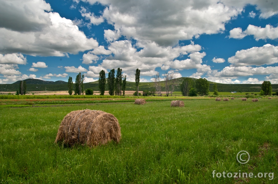 Vransko polje