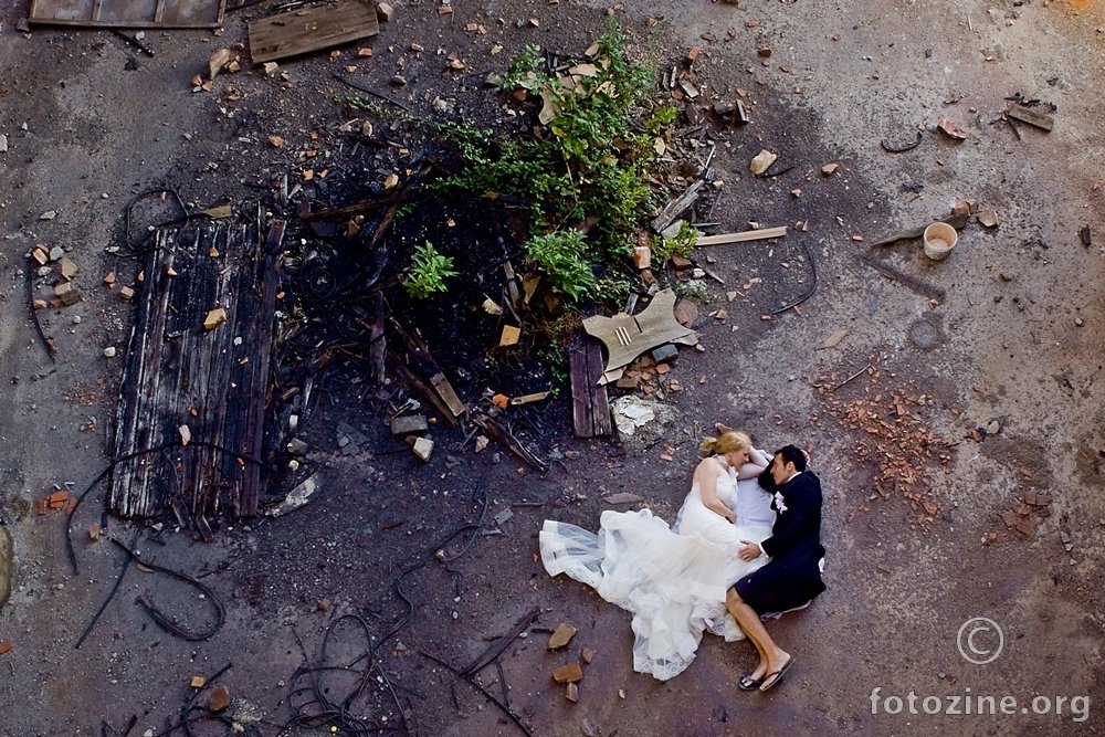 trash the dress