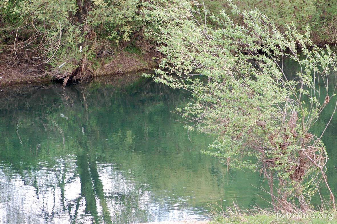 proljeće na Korani