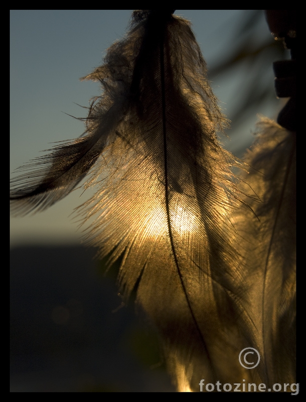 Dreamcatcher