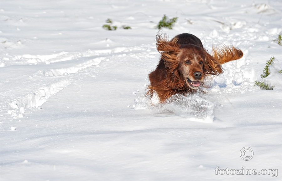 snow diving