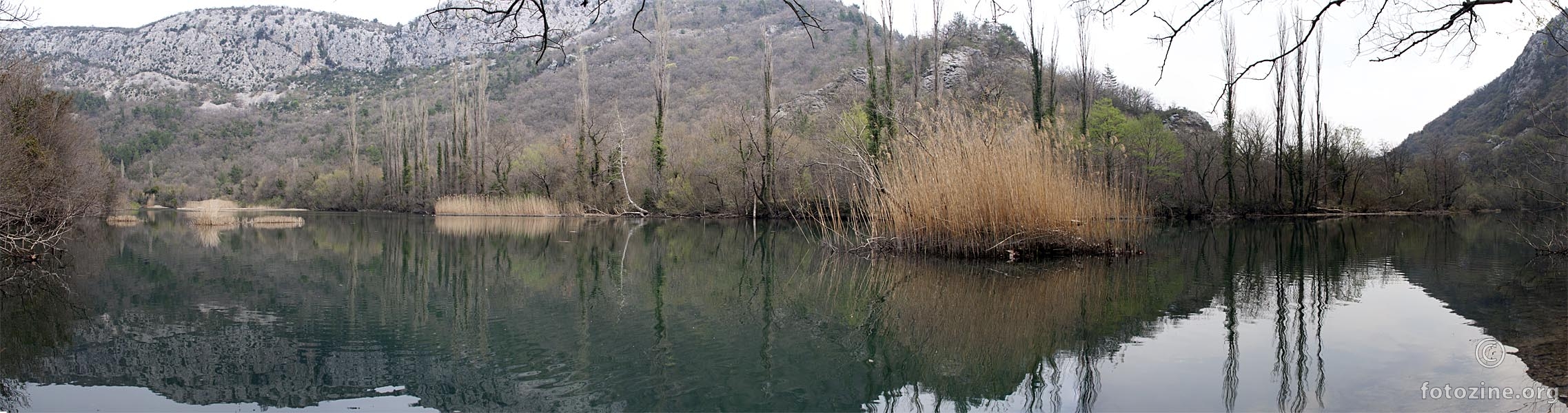 CETINA 25.03.2012.