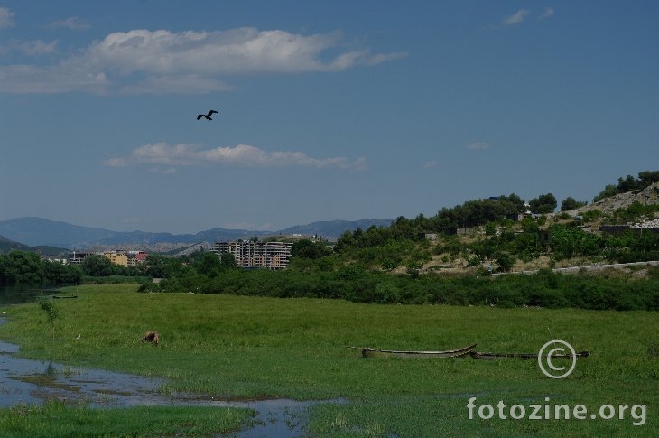 Shkoder