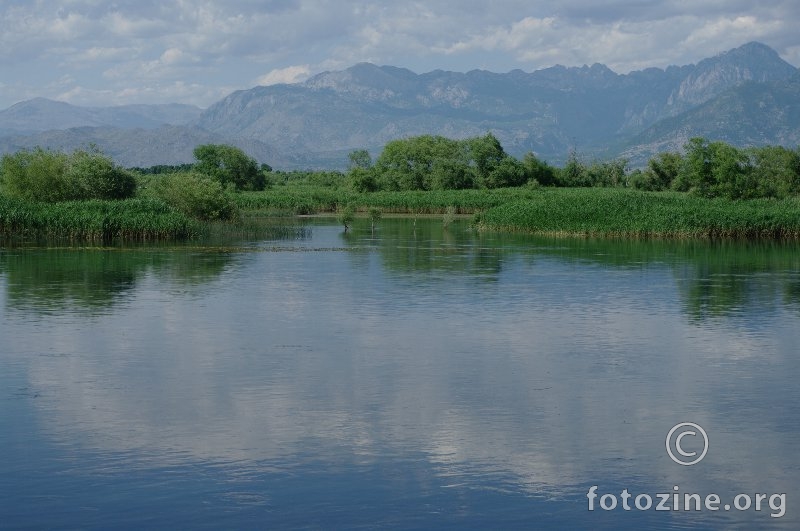 Skadarsko jezero