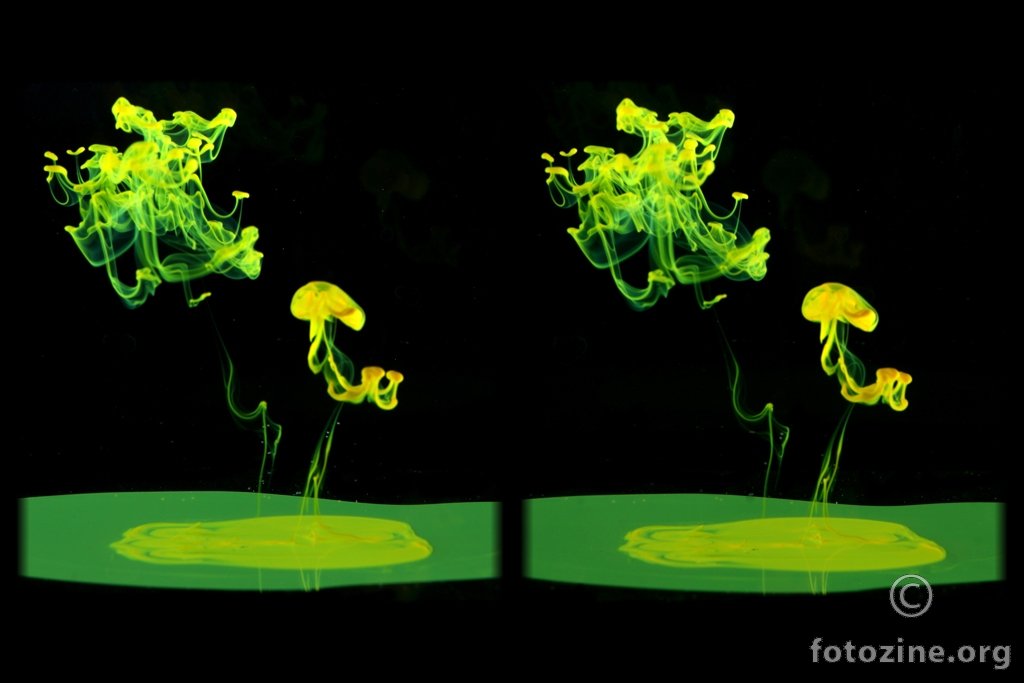 3D Stereoscopy 