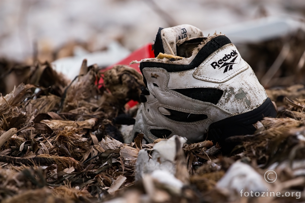 Beached shoe