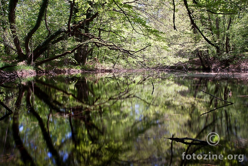 Refleksije na Plitvicama