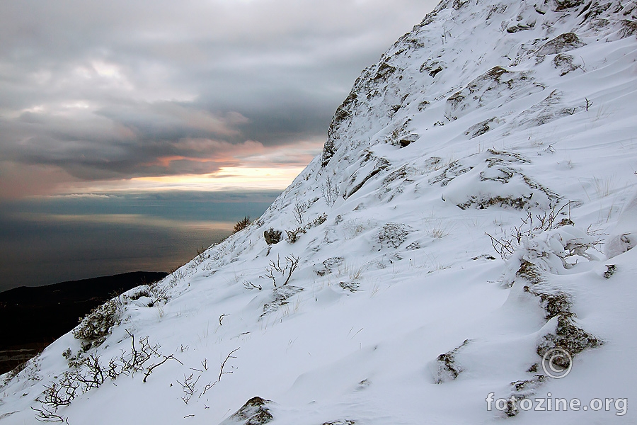 Snjeznica 23.01.2011.