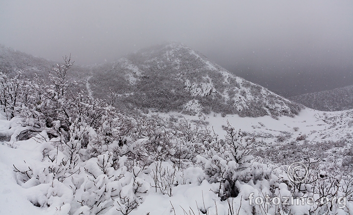 Snjeznica 12.02.2012.