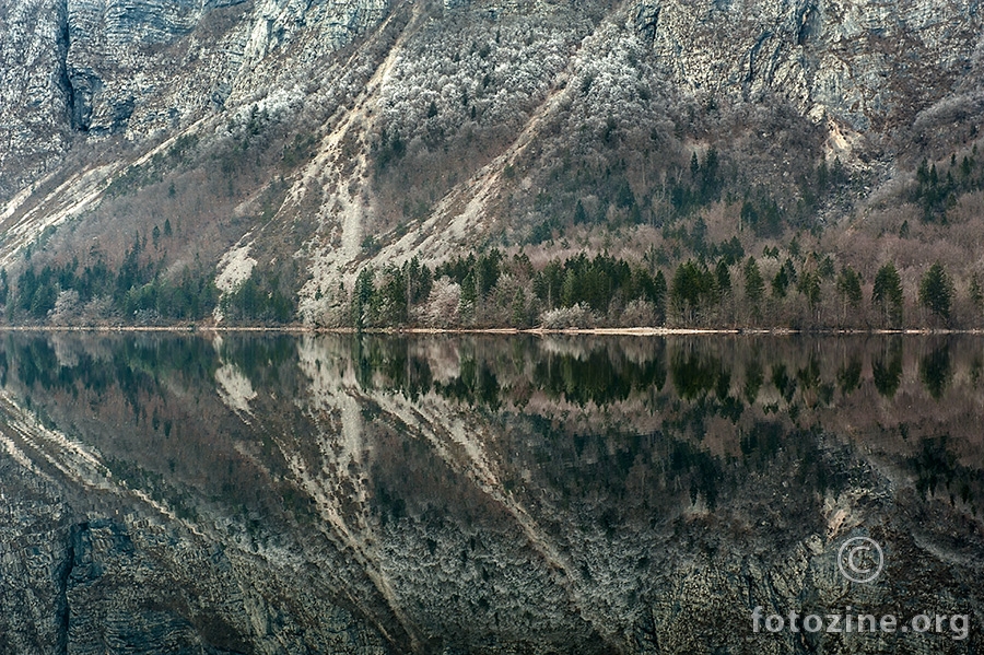 Odraz Bohinja