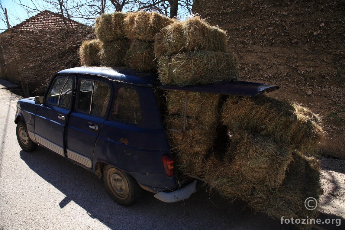 legalizacija!