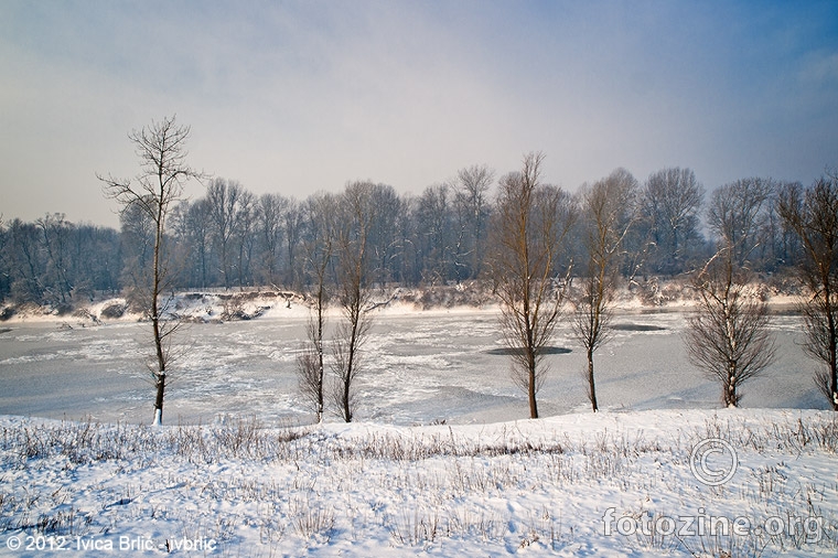 Zaleđena