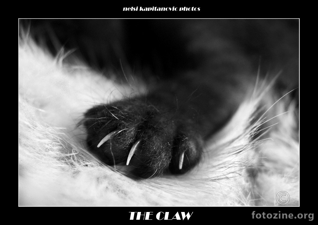 the claw