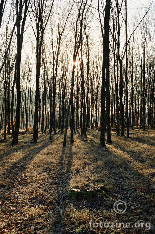 isčekivanje