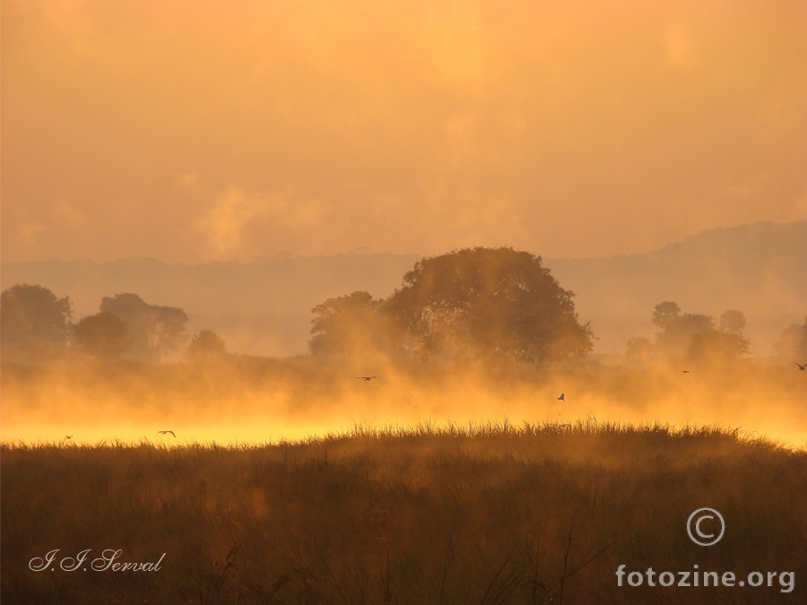 Tanzania - jutro na rijeci