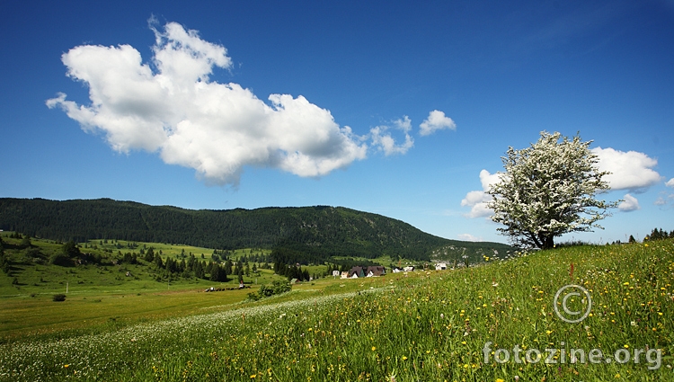 Vlašić