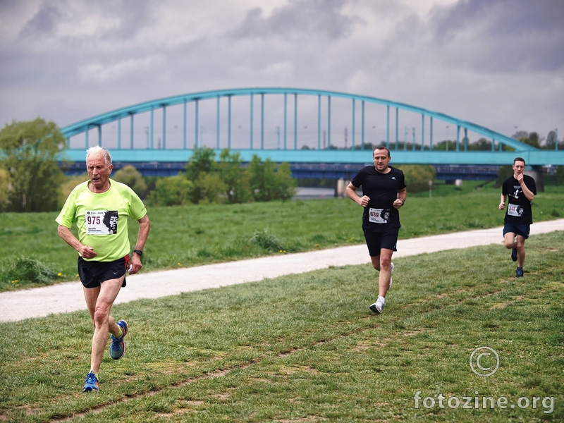 Hendrix Polumaraton 2016