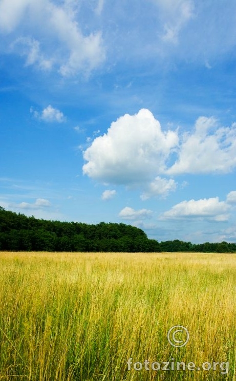 Livada, šuma, nebo